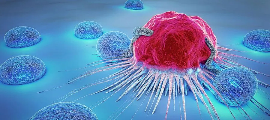 Proliferation of cancer cell 